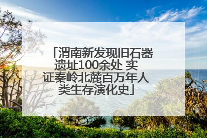 渭南新发现旧石器遗址100余处 实证秦岭北麓百万年人类生存演化史