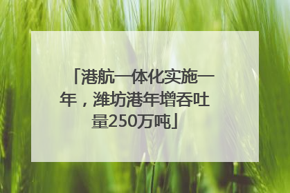 港航一体化实施一年，潍坊港年增吞吐量250万吨