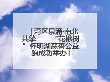 湾区泉涌·南北共擎——“花楸树”杯明湖慈善公益跑成功举办