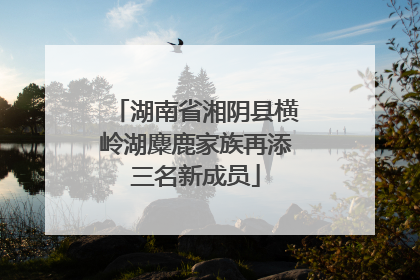 湖南省湘阴县横岭湖麋鹿家族再添三名新成员