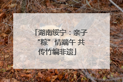 湖南绥宁：亲子“粽”情端午 共传竹编非遗