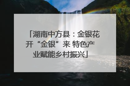 湖南中方县：金银花开“金银”来 特色产业赋能乡村振兴