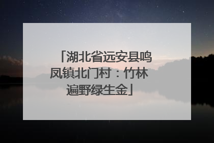 湖北省远安县鸣凤镇北门村：竹林遍野绿生金