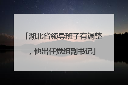 湖北省领导班子有调整，他出任党组副书记