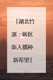 湖北竹溪：新区新人播种新希望