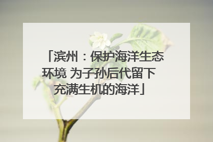 滨州：保护海洋生态环境 为子孙后代留下充满生机的海洋