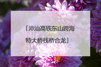 漳汕高铁东山跨海特大桥栈桥合龙
