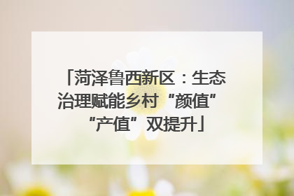 菏泽鲁西新区：生态治理赋能乡村“颜值”“产值”双提升