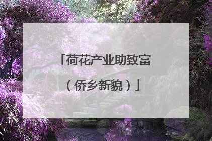 荷花产业助致富（侨乡新貌）