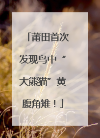 莆田首次发现鸟中“大熊猫”黄腹角雉！