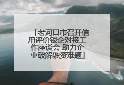 老河口市召开信用评价银企对接工作座谈会 助力企业破解融资难题