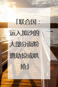 联合国：运入加沙的大部分面粉遭劫掠或哄抢