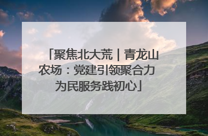 聚焦北大荒｜青龙山农场：党建引领聚合力 为民服务践初心