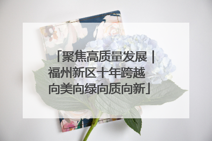 聚焦高质量发展｜福州新区十年跨越 向美向绿向质向新