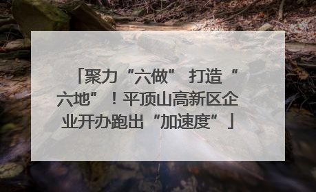 聚力“六做” 打造“六地”！平顶山高新区企业开办跑出“加速度”