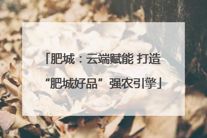 肥城：云端赋能 打造“肥城好品”强农引擎