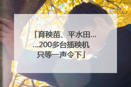 育秧苗、平水田……200多台插秧机只等一声令下