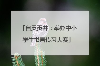 自贡贡井：举办中小学生书画传习大赛