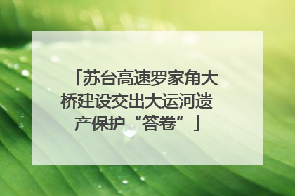 苏台高速罗家角大桥建设交出大运河遗产保护“答卷”
