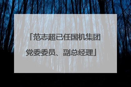 范志超已任国机集团党委委员、副总经理
