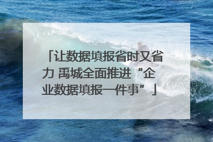 让数据填报省时又省力 禹城全面推进“企业数据填报一件事”