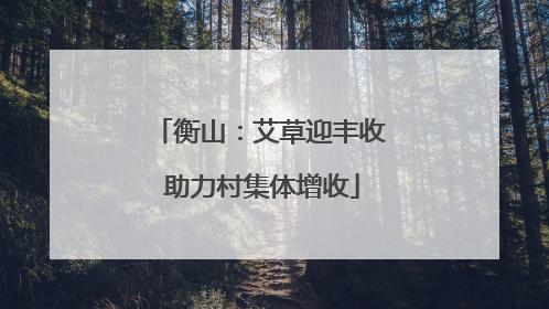 衡山：艾草迎丰收 助力村集体增收