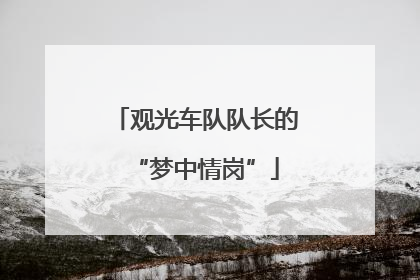 观光车队队长的“梦中情岗”