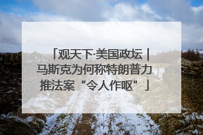观天下·美国政坛｜马斯克为何称特朗普力推法案“令人作呕”