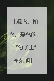 观鸟、拍鸟、爱鸟的“勺子王”李东明