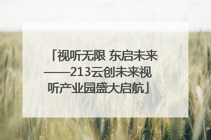 视听无限 东启未来——213云创未来视听产业园盛大启航