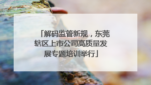 解码监管新规，东莞辖区上市公司高质量发展专题培训举行
