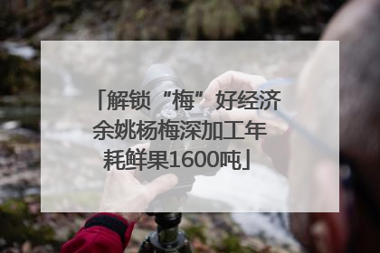 解锁“梅”好经济 余姚杨梅深加工年耗鲜果1600吨