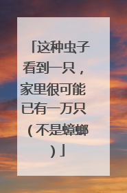 这种虫子看到一只，家里很可能已有一万只（不是蟑螂）