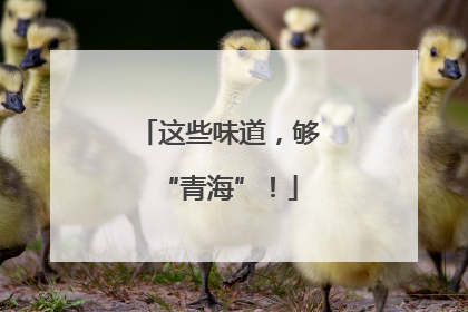 这些味道，够“青海”！