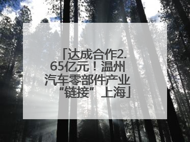 达成合作2.65亿元！温州汽车零部件产业“链接”上海