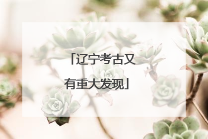 辽宁考古又有重大发现