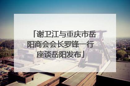 谢卫江与重庆市岳阳商会会长罗锋一行座谈岳阳发布