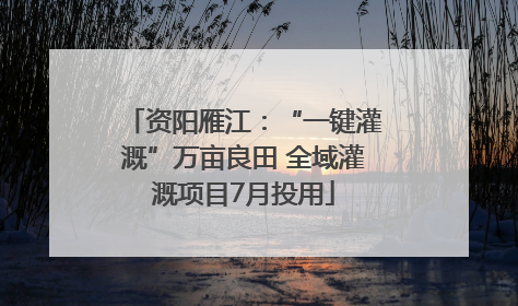 资阳雁江：“一键灌溉”万亩良田 全域灌溉项目7月投用