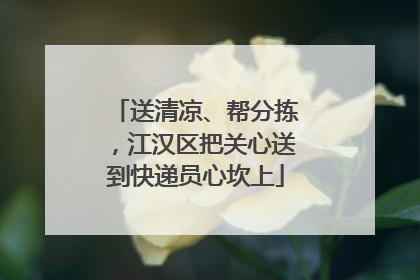 送清凉、帮分拣，江汉区把关心送到快递员心坎上