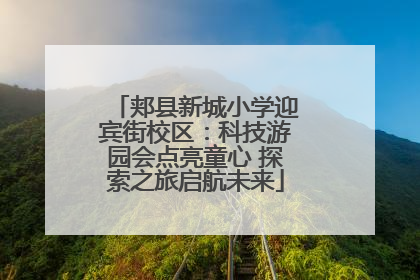 郏县新城小学迎宾街校区：科技游园会点亮童心 探索之旅启航未来