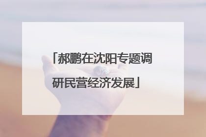 郝鹏在沈阳专题调研民营经济发展