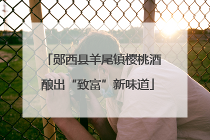 郧西县羊尾镇樱桃酒酿出“致富”新味道