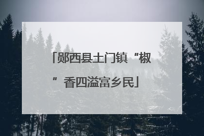 郧西县土门镇“椒”香四溢富乡民