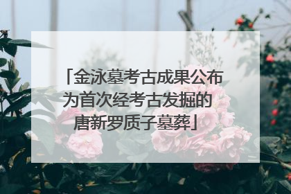 金泳墓考古成果公布 为首次经考古发掘的唐新罗质子墓葬