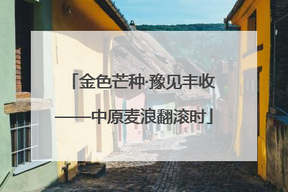 金色芒种·豫见丰收——中原麦浪翻滚时