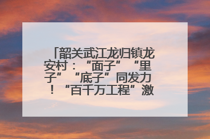 韶关武江龙归镇龙安村：“面子”“里子”“底子”同发力！“百千万工程”激活乡村新动能