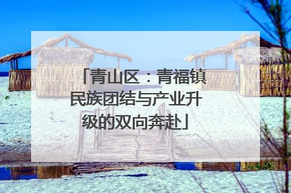 青山区：青福镇民族团结与产业升级的双向奔赴
