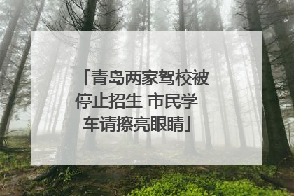 青岛两家驾校被停止招生 市民学车请擦亮眼睛