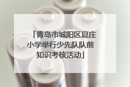 青岛市城阳区夏庄小学举行少先队队前知识考核活动