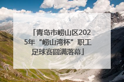 青岛市崂山区2025年“崂山湾杯”职工足球赛圆满落幕